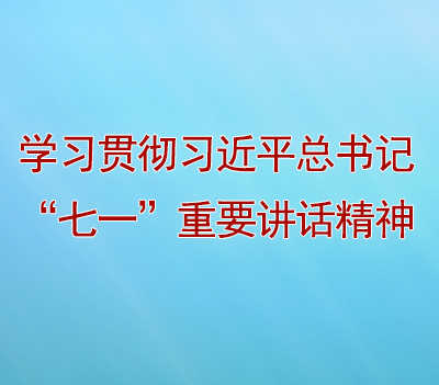 学习贯彻习近平总书记“七一”重要讲话精神